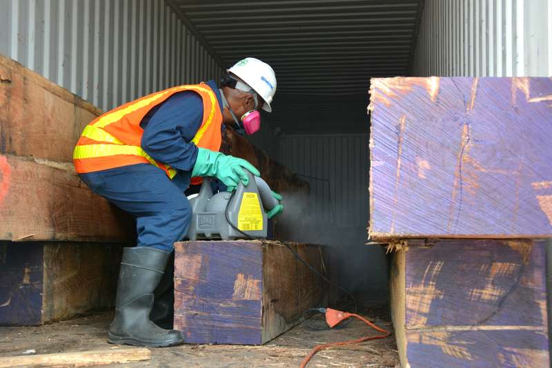 Emergency Pest Control Emergency Pest Control